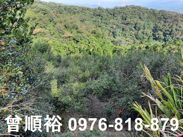 新竹關西農地-7