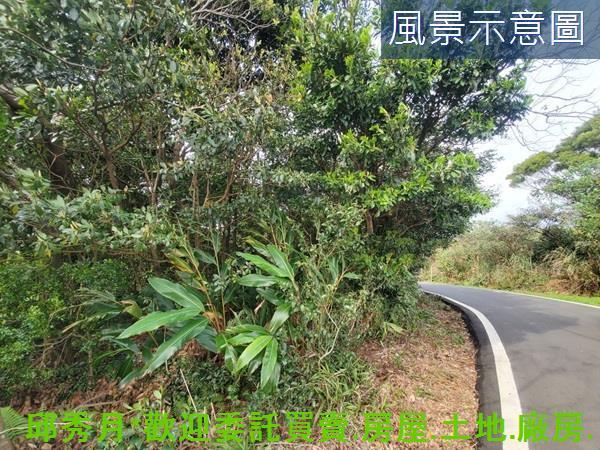 新北三芝農地-3