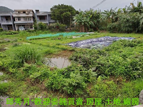 金山農地-5