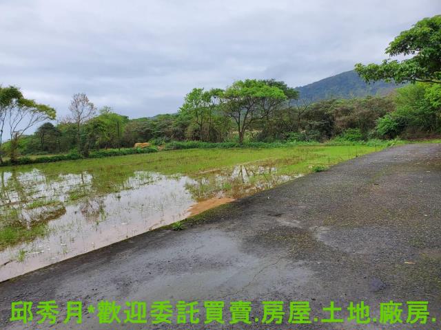 金山農地-4
