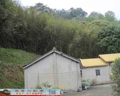 苗栗大湖建地-2