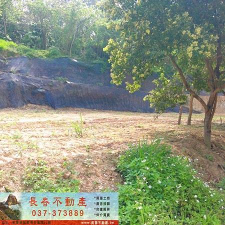 造橋山坡地-1