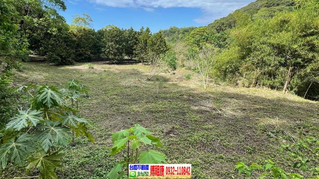 南庄農地-6