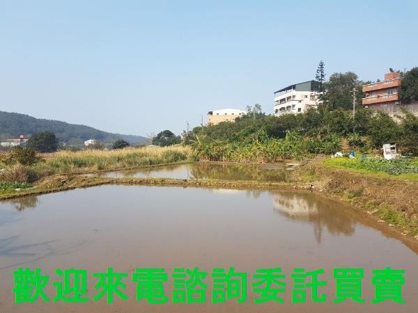 新北農地-3