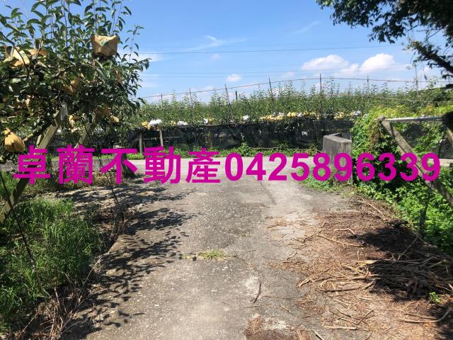 苗栗卓蘭農地-9
