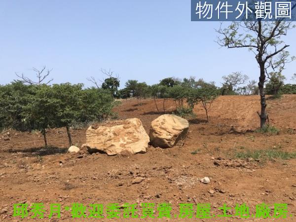 新北淡水農地-2