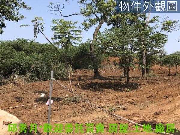 新北淡水農地-3