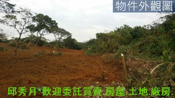 新北淡水農地-6