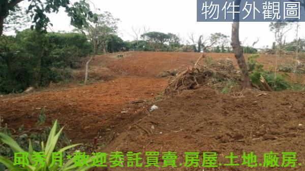 新北淡水農地-7