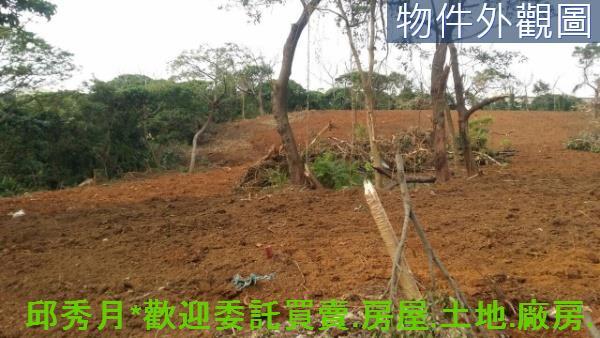 新北淡水農地-8