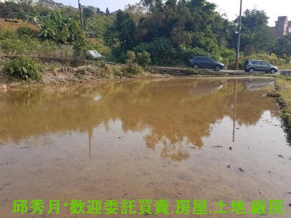 新北淡水農地-4