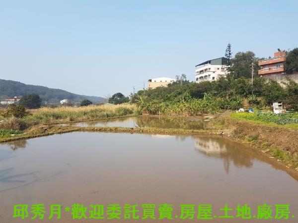 新北淡水農地-5