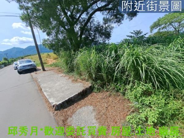 新北淡水農地-3