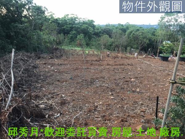 新北淡水農地-10