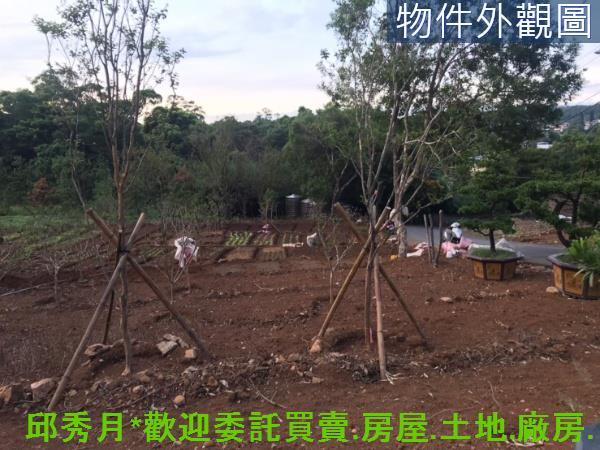 新北淡水農地-11