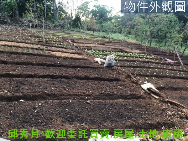 新北淡水農地-3