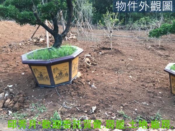 新北淡水農地-4