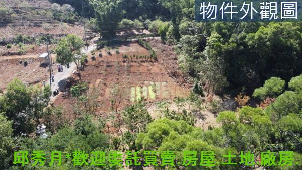 新北淡水農地-5