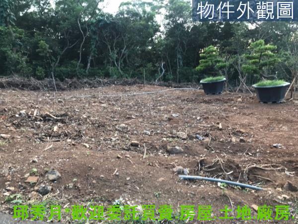 新北淡水農地-6