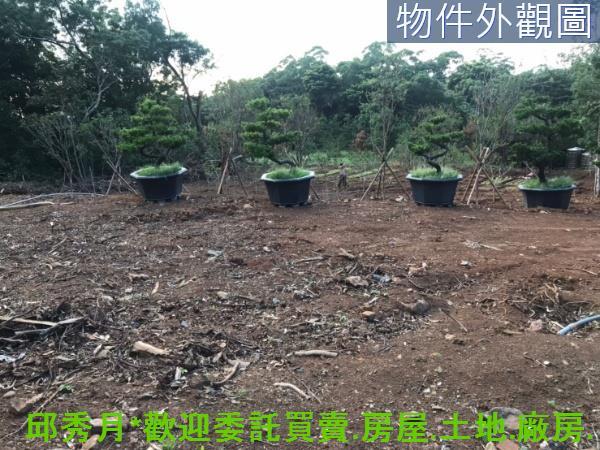 新北淡水農地-7