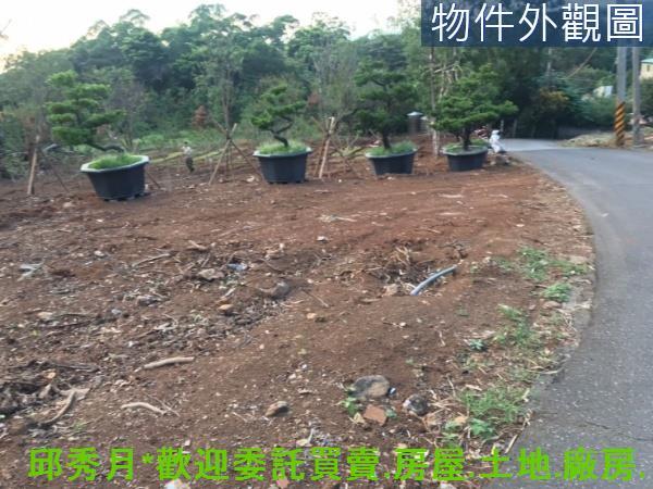 新北淡水農地-8