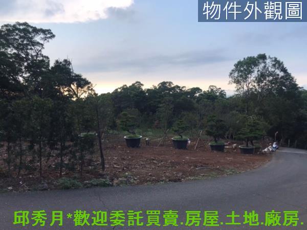 新北淡水農地-9