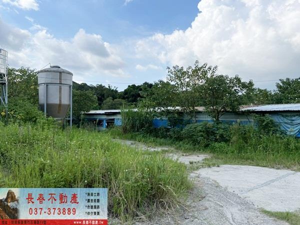 苗栗銅鑼農地-2