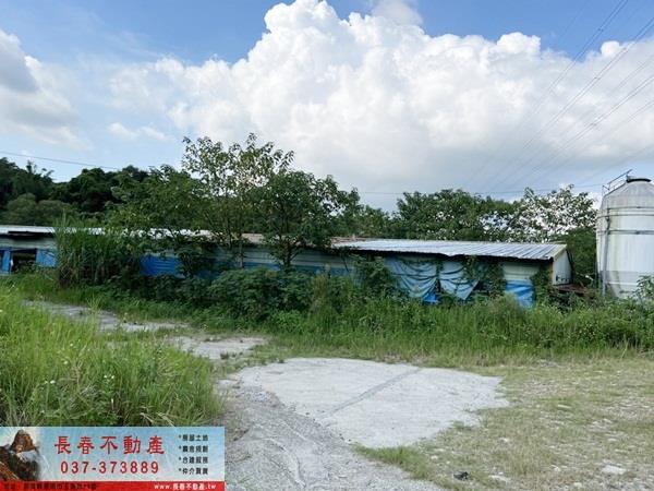 苗栗銅鑼農地-3