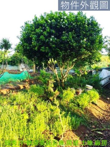 新北農地-3
