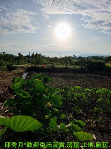 新北農地-5