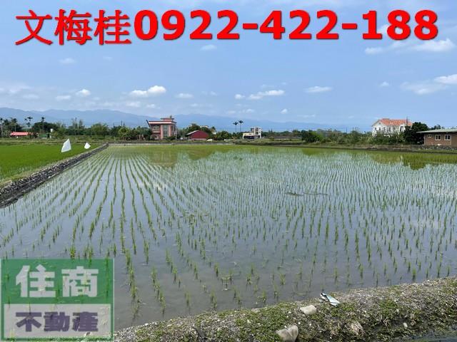 宜蘭三星農地-8