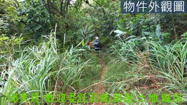 新北三芝丁建-4