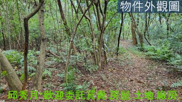 新北三芝丁建-5