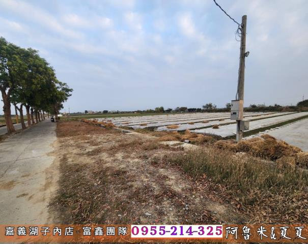 鹿草農地-2