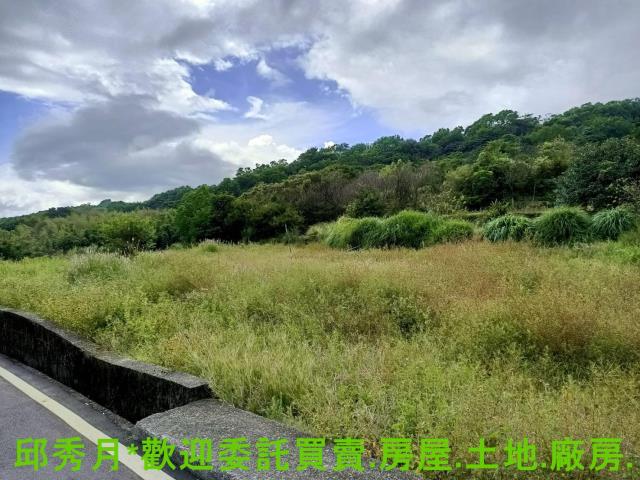 新北金山農地-1