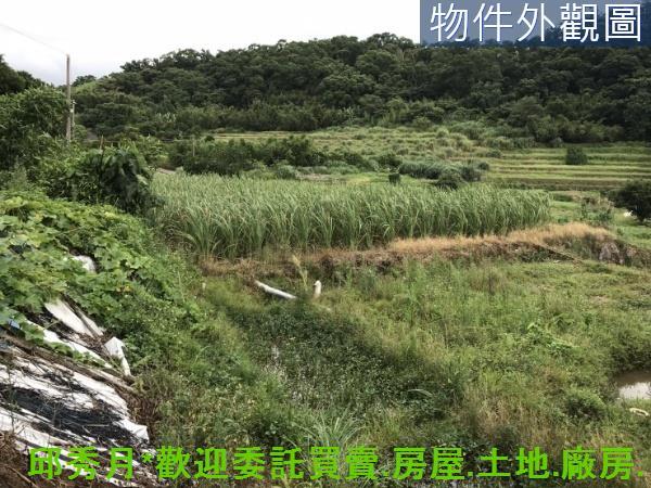 新北淡水農地-11