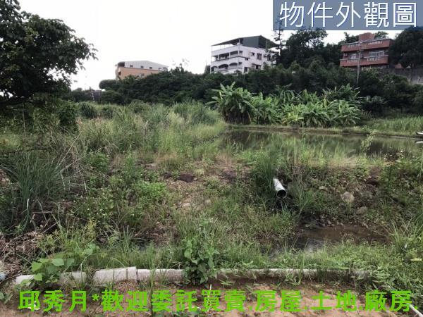 新北淡水農地-2