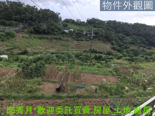 新北淡水農地-3