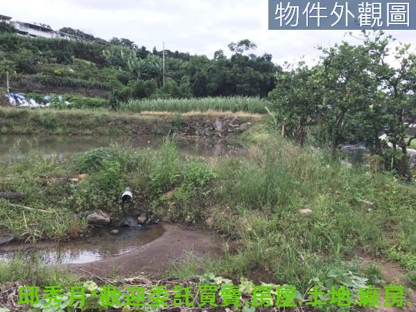 新北淡水農地-4