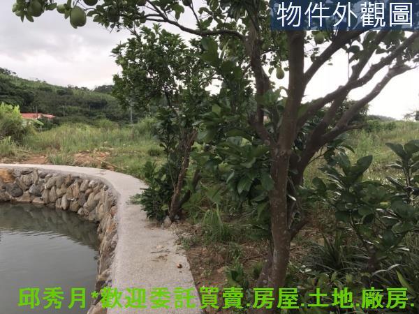 新北淡水農地-6