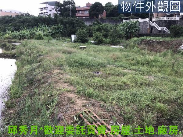 新北淡水農地-8