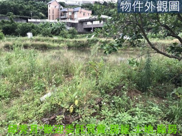 新北淡水農地-2