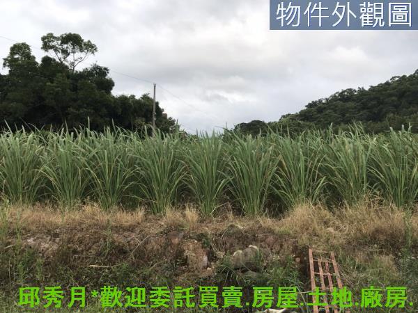 新北淡水農地-6