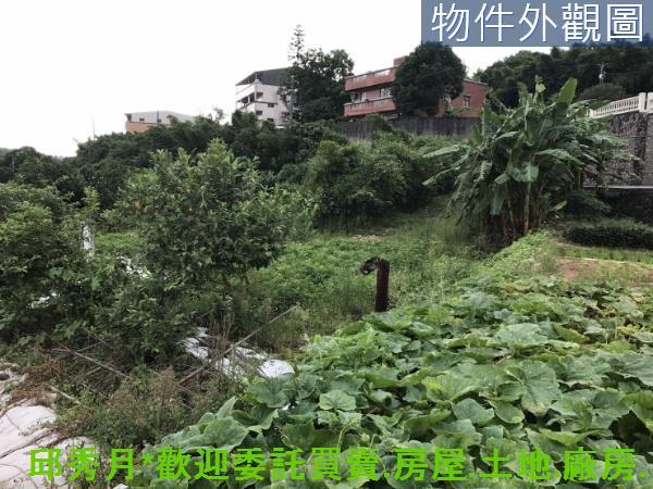 新北淡水農地-7