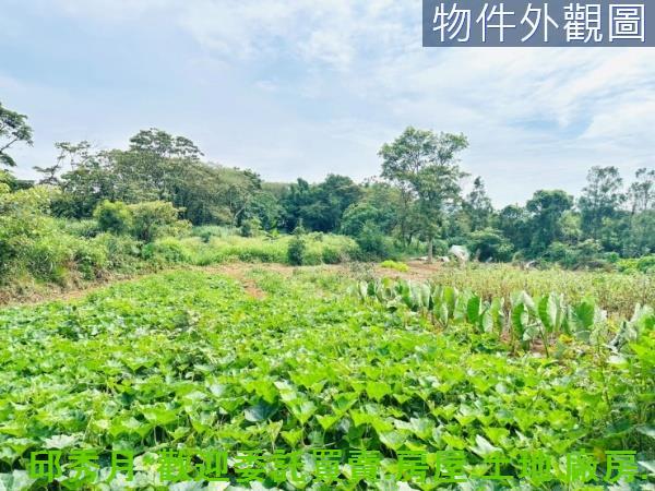 新北淡水農地-10