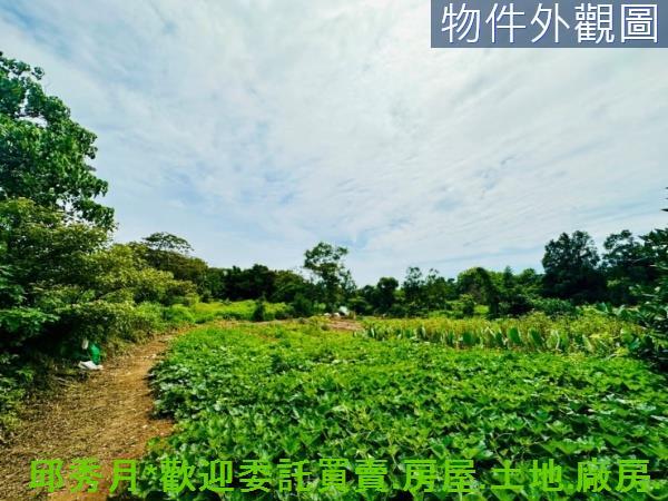 新北淡水農地-2