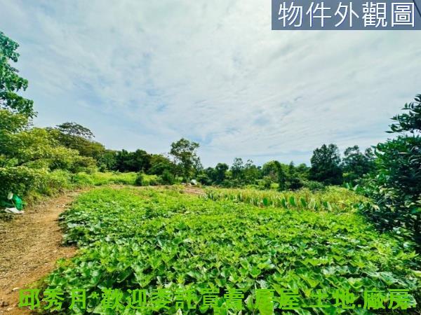 新北淡水農地-3