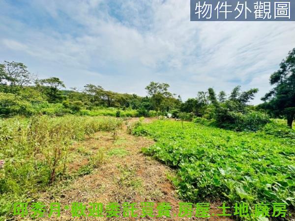 新北淡水農地-4