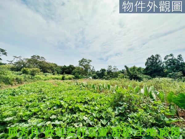 新北淡水農地-8