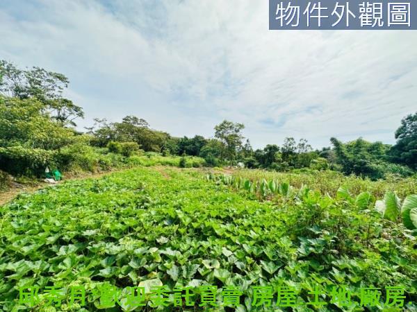 新北淡水農地-9